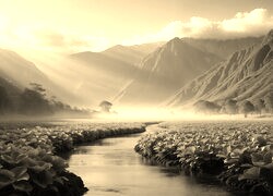 Sepia