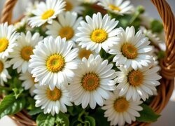 Oryginalny obrazek