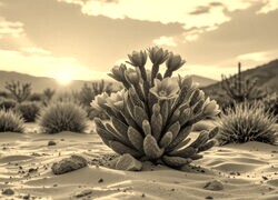 Szary + Sepia
