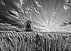 Skamielina