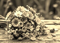 Szary + Sepia