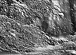 Skamielina