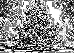 Skamielina