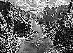 Skamielina