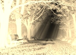 Sepia + Negatyw