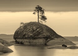 Szary + Sepia