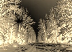 Sepia + Negatyw