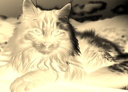 Sepia + Negatyw