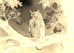 Sepia + Negatyw