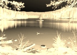 Sepia + Negatyw