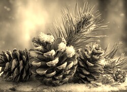 Sepia