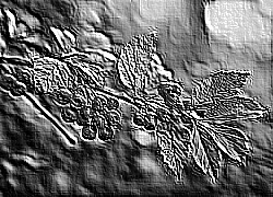 Skamielina