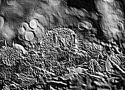 Skamielina