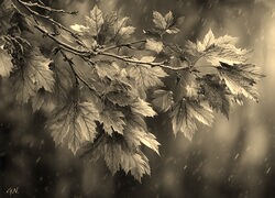 Sepia