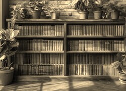 Szary + Sepia