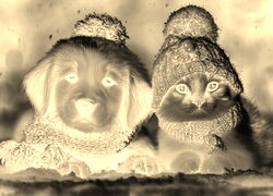Sepia + Negatyw