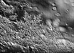 Skamielina