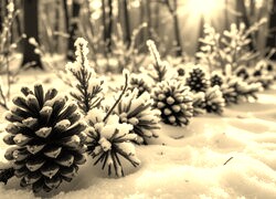 Sepia