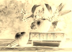 Sepia + Negatyw