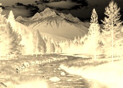 Sepia + Negatyw