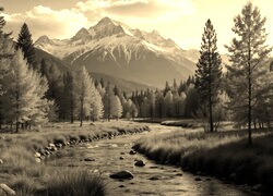 Sepia