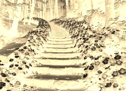 Sepia + Negatyw