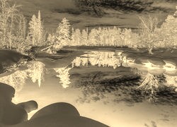 Sepia + Negatyw
