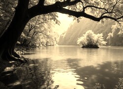 Sepia