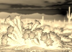 Sepia + Negatyw