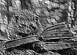 Skamielina