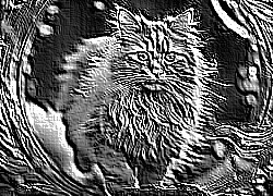 Skamielina