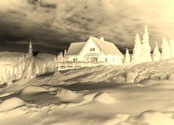 Sepia + Negatyw