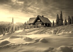 Sepia