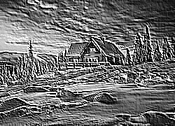 Skamielina