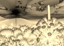 Sepia + Negatyw