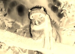 Sepia + Negatyw