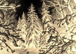 Sepia + Negatyw