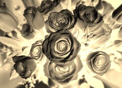 Sepia + Negatyw