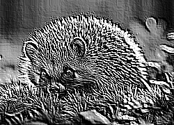 Skamielina