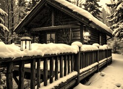 Sepia