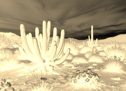 Sepia + Negatyw