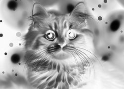 Szary + Negatyw