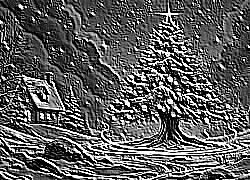 Skamielina