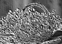 Skamielina