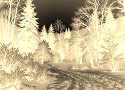 Sepia + Negatyw