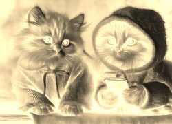 Sepia + Negatyw