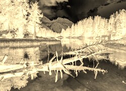 Sepia + Negatyw