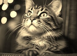 Sepia