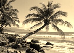 Sepia