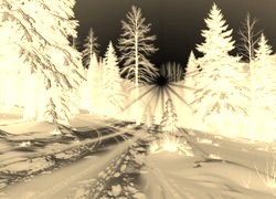 Sepia + Negatyw